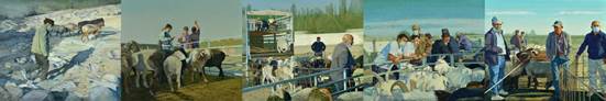 南疆新气象